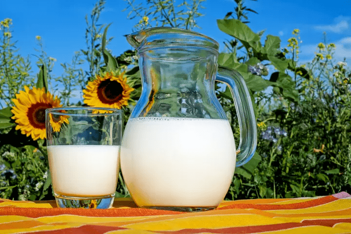 La leche es un alimento básico de la dieta Dukan. 